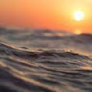 Meet your Posher, Alana